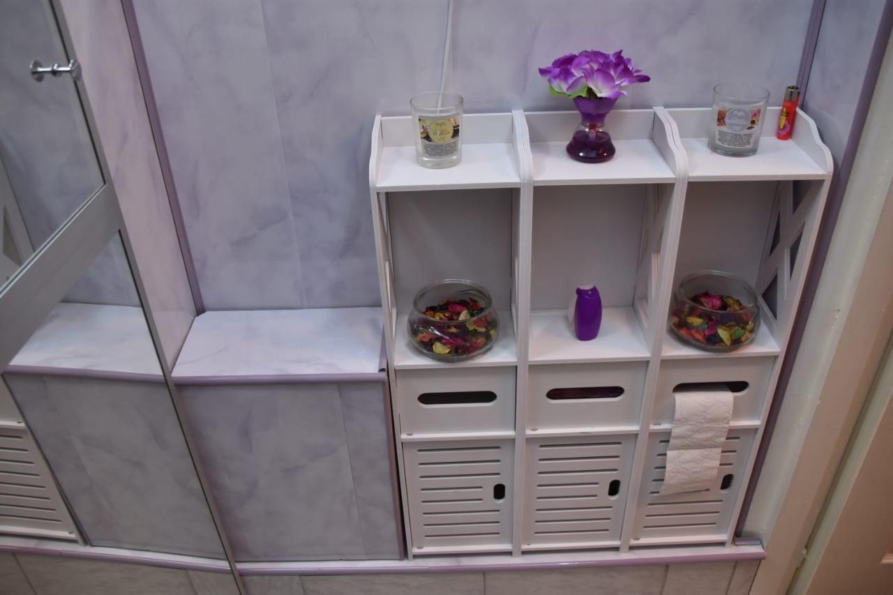 Ultracentral Piata Muzeului Apartment *