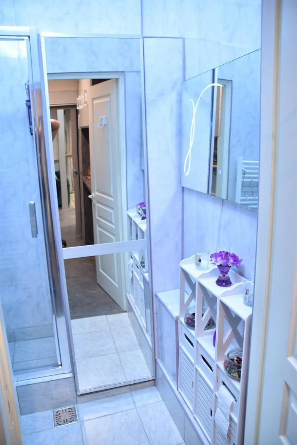Apartment Ultracentral Piata Muzeului *